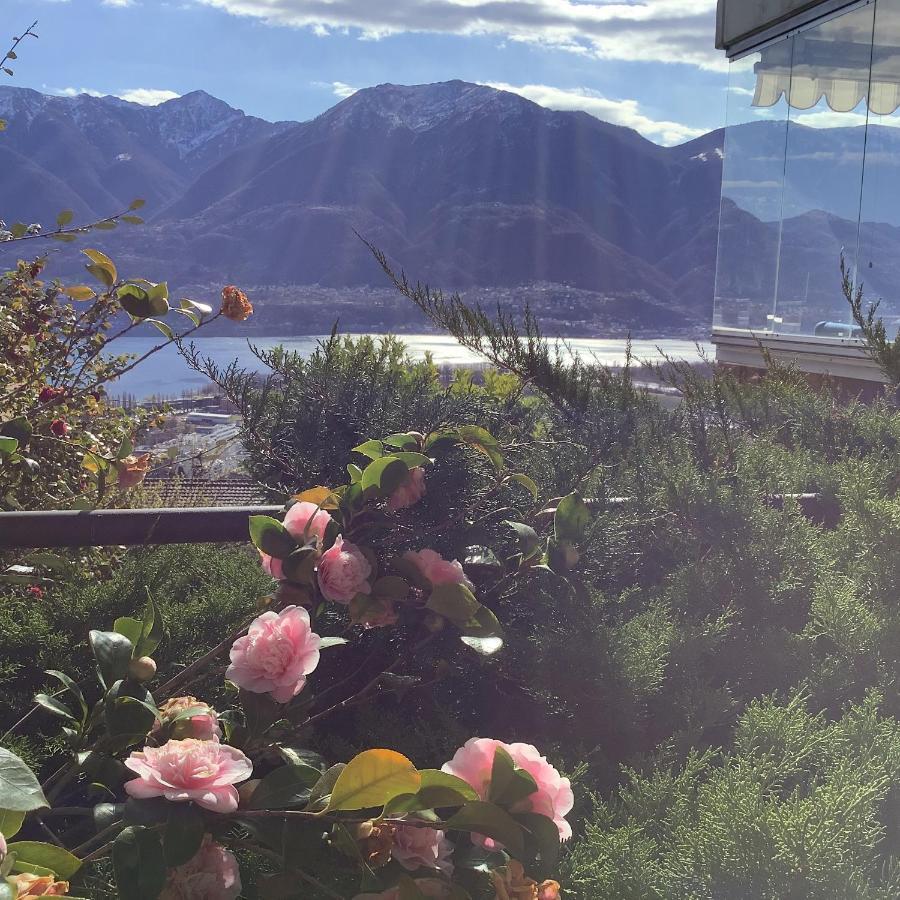 Apartment Andromeda Seeblick Locarno