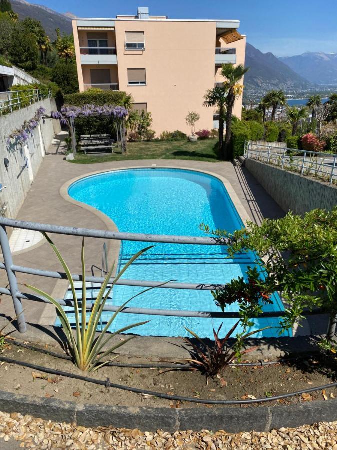Andromeda Seeblick Apartment *